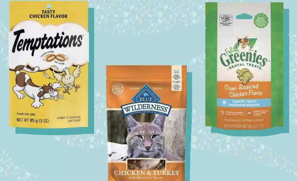 The Favorite Cat Snacks: What Do Cats Love to Eat?