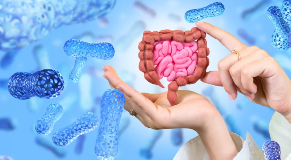Gut Health Revolution: Why the Microbiome Is the New Frontier in Medicine