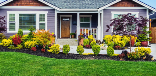 Achieving a Beautiful Yard with Minimal Effort: Your Guide to Lawn and Garden Maintenance