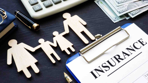 Navigating Life's Uncertainties: The Role of Insurance Companies