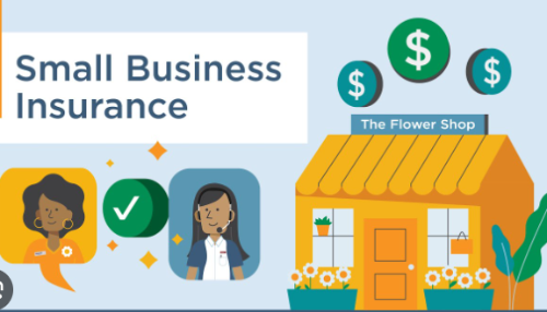 Essential Business Insurance Options Every Contractor and Small Business Owner Should Know