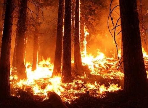 Why-You-Need-a-Personal-Injury-Lawyer-After-the-California-Wildfires