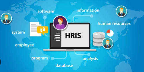 Exploring HRIS Systems and Payroll Services for Businesses