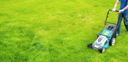 Top Lawn Mowing Services in the USA: Affordable Fast and Reliable