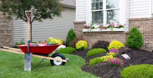 Enhancing Your Outdoor Spaces: A Guide to Landscape Maintenance