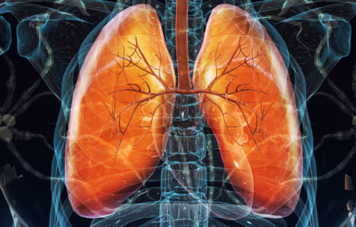 Understanding-Lung-Cancer:-Types,-Stages,-and-Treatment-Options