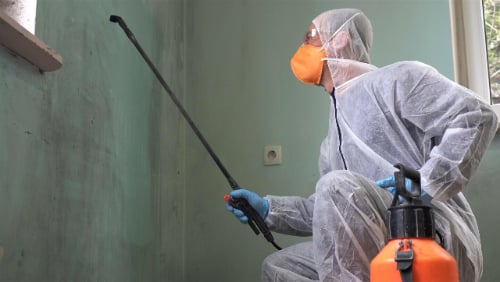 Essential-Guide-to-Asbestos-Removal-in-2025