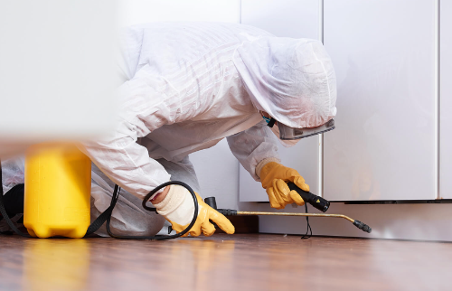 Understanding Pest Control: Key Concepts and Methods